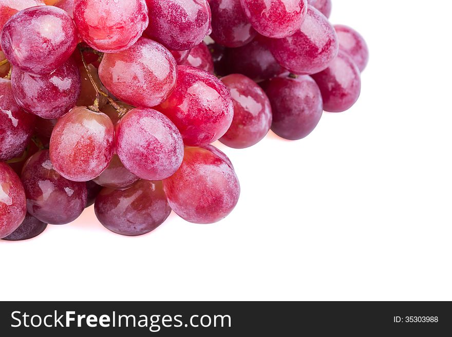 Wet grapes in close-up