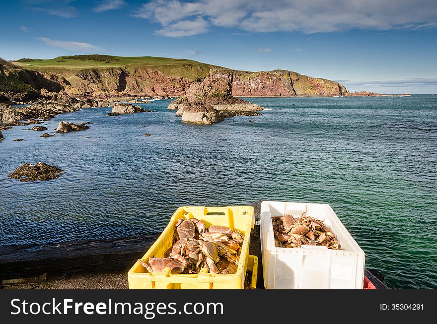 A rugged and rocky approach to St Abbs harbour. A rugged and rocky approach to St Abbs harbour