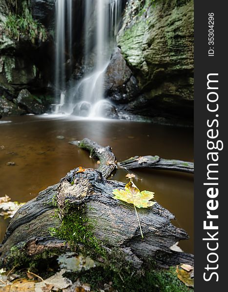 Autumn leaf frog and waterfall