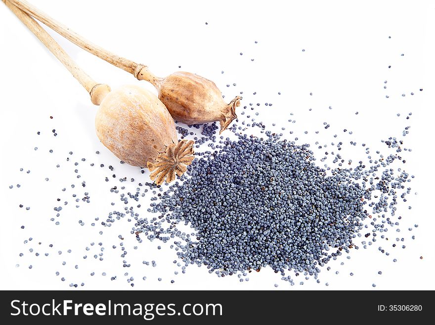 Two poppy seeds on a white background. Two poppy seeds on a white background