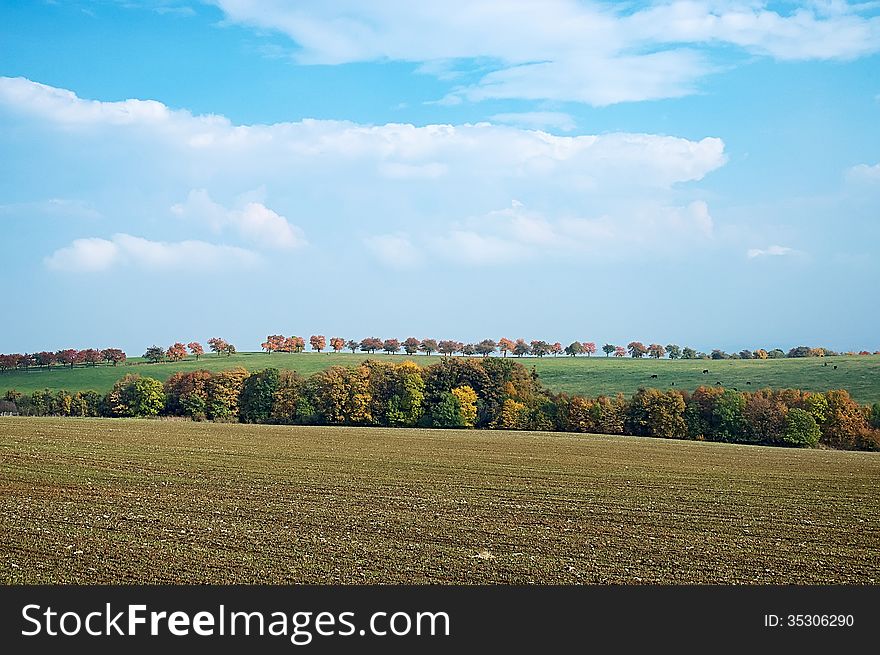 Autumn landscape with fields, meadows and trees