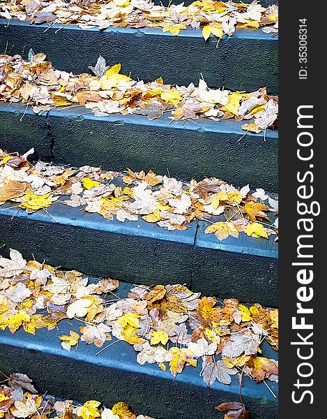 View of the historic stone steps with autumn leaves. View of the historic stone steps with autumn leaves