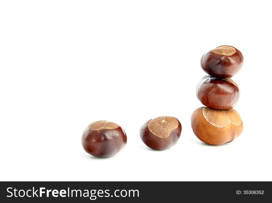 Group of chestnuts on a white background