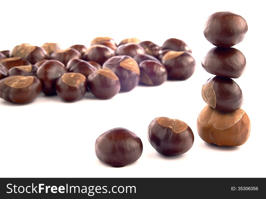 Group of chestnuts on a white background