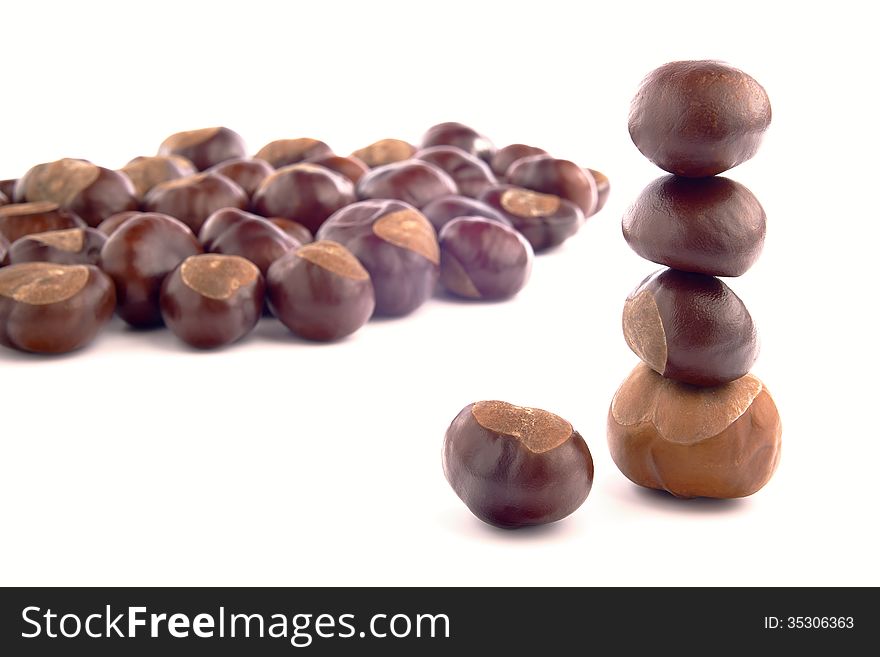 Group of chestnuts on a white background