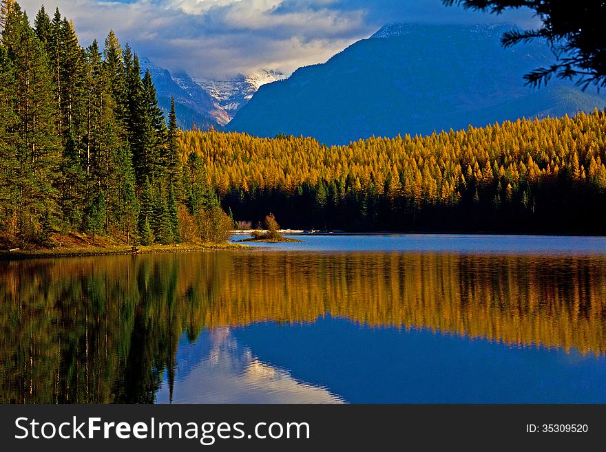 This image of the tamaracks in full autumn color reflected in the lake was taken in the Great Bear Wilderness of NW Montana. This image of the tamaracks in full autumn color reflected in the lake was taken in the Great Bear Wilderness of NW Montana.