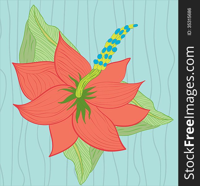 Vector illustration of Hibiscus flower on the blue background