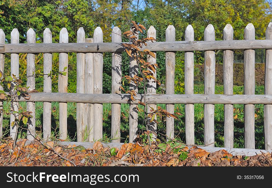 Wooden fence with foliage autumnal under blue sky