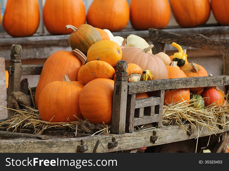 Pumpkins and squashes in old wooden cart. Pumpkins and squashes in old wooden cart