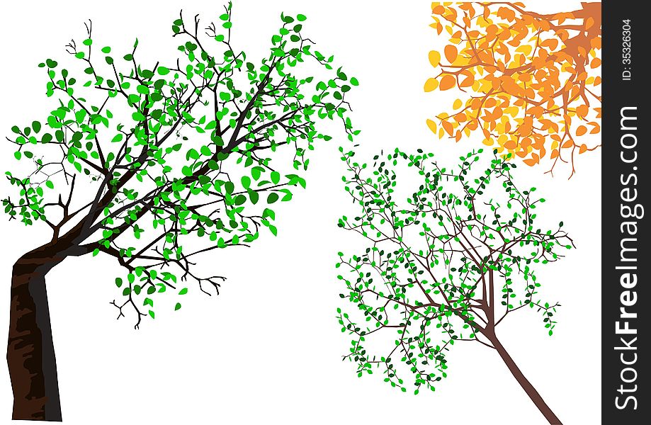 Vector illustration showing bottom look of the trees. Vector illustration showing bottom look of the trees