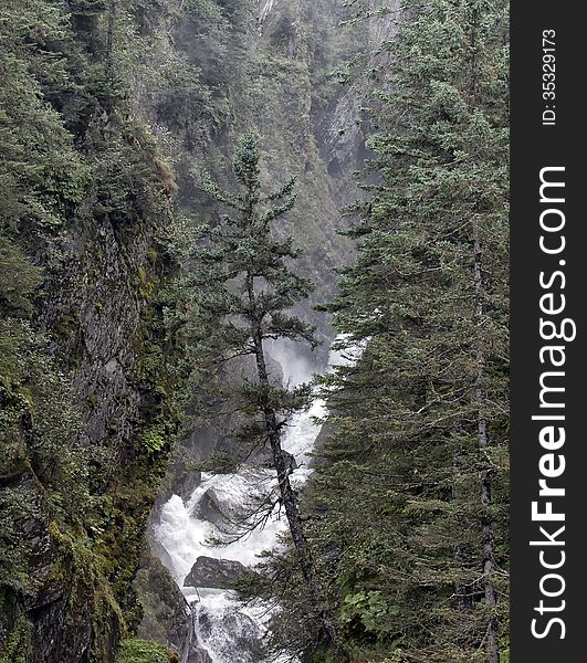 Waterfall amongst the mountains and evergreens of Valdez, Alaska
