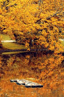 Autumn Tree And Lake Stock Photo Autumn Tree And Lake Stock Photo
