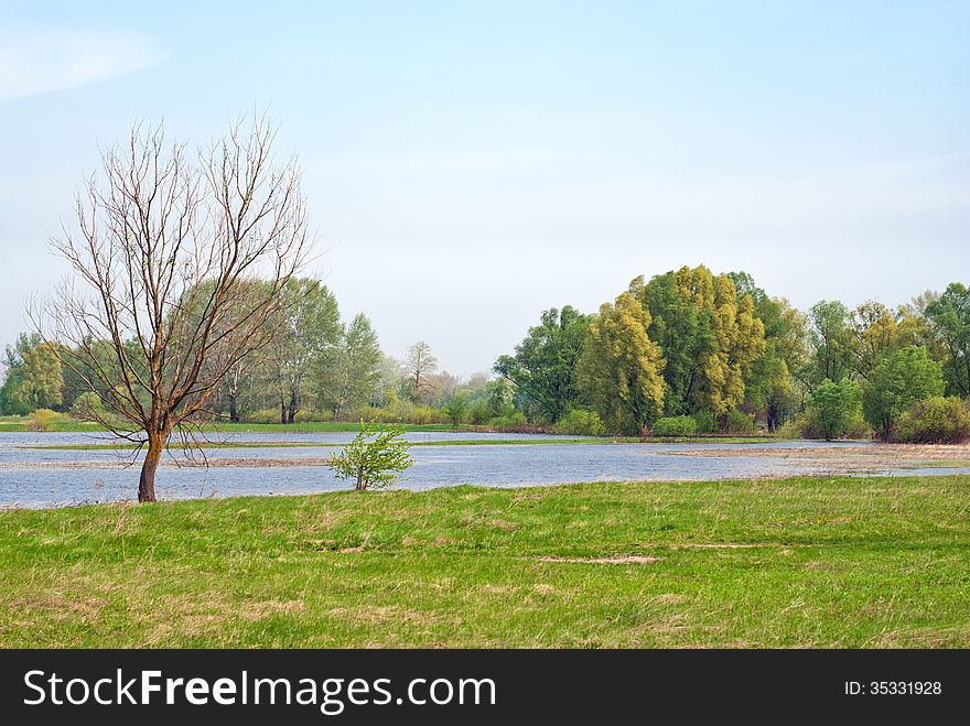 Summer landscape and river