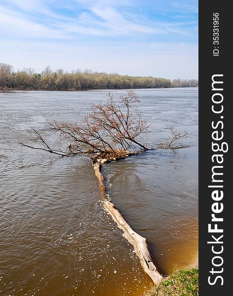 Spring landscape, Desna river, Ukraine