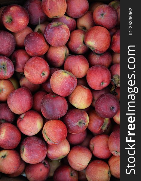 Background of fresh red apples. Background of fresh red apples.