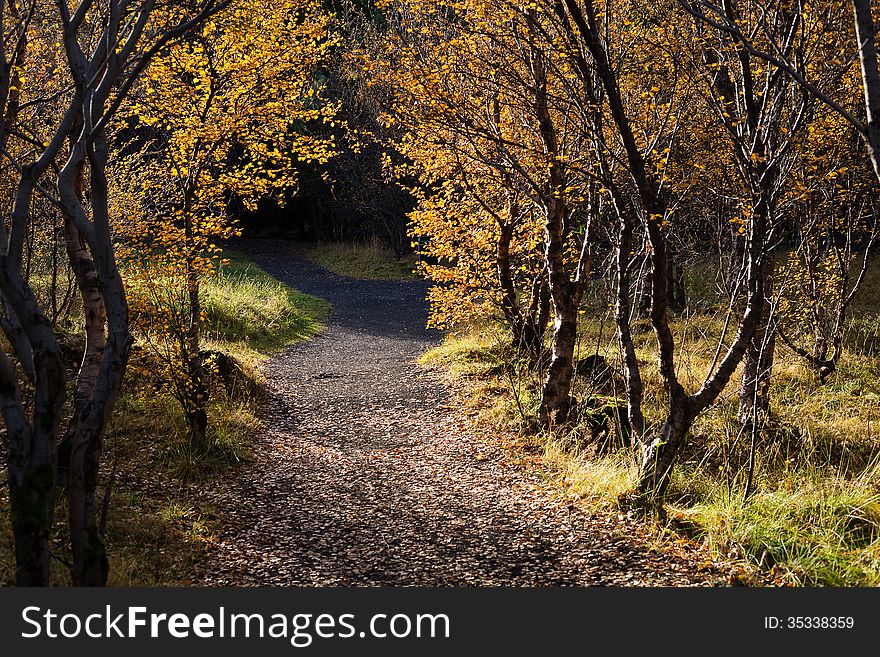 Picture taken at Elliðaárdalur in October 2012 so we have a path with trees in the color of autumn. Picture taken at Elliðaárdalur in October 2012 so we have a path with trees in the color of autumn
