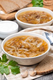Traditional Russian Cabbage Soup &x28;shchi&x29; With Mushrooms Royalty Free Stock Image Traditional Russian Cabbage Soup &x28;shchi&x29; With Mushrooms Royalty Free Stock Image