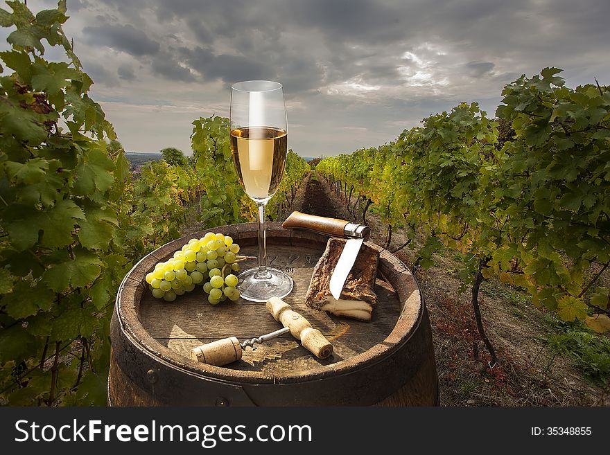 Still life with white wine on vineyard background