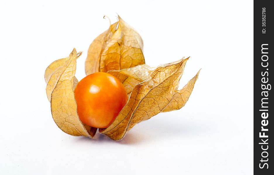 One cape gooseberries isolated on a white background