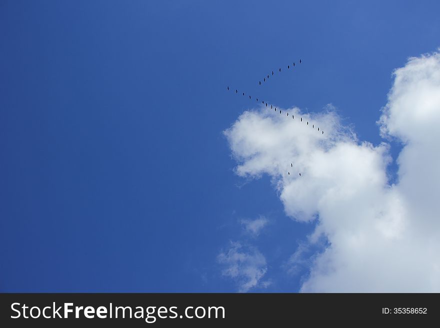 Blue Sky, Clouds And A Wedge Of Migratory Birds