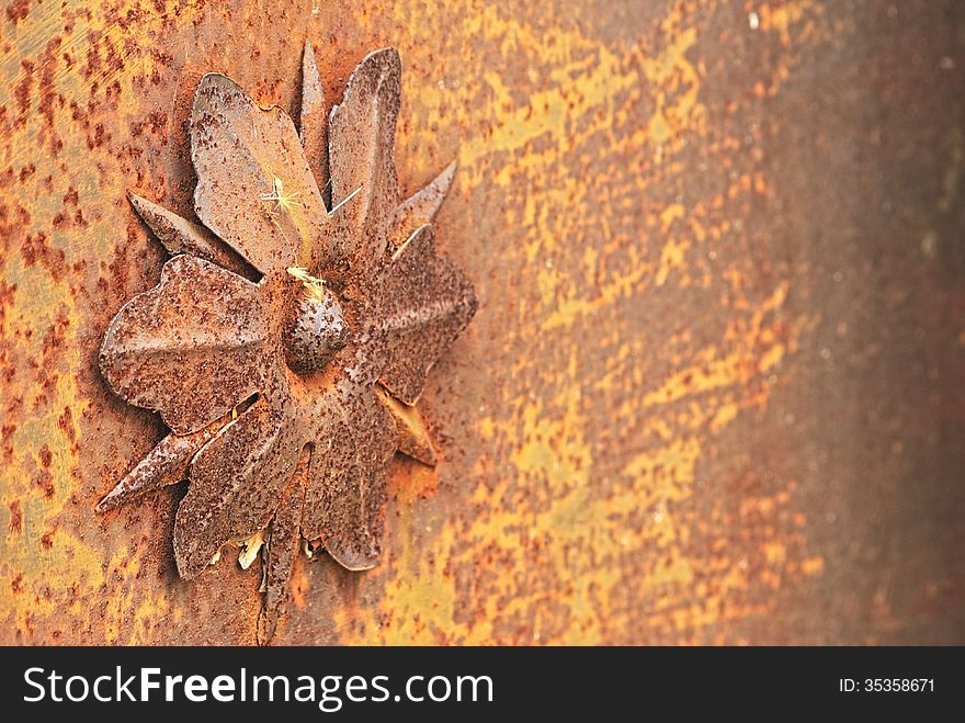 Macro_detail1. Iron flower