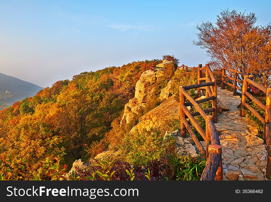 The path and autumn forest