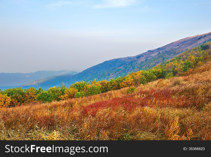 The Grassland Autumn