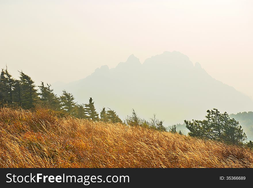 The Autumn Grassland And Hazy Mountains