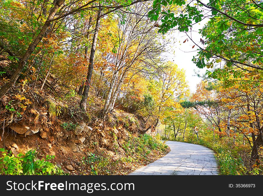 The peaceful bend path _ autumnal scenery