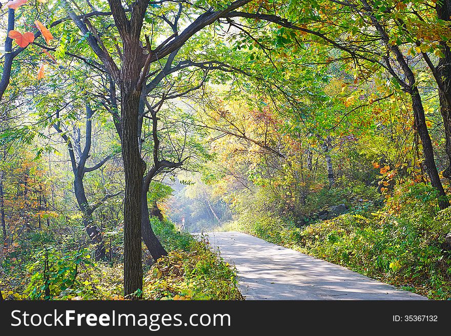 The photo taken in China's Hebei province qinhuangdao city,ancestral mountain scenic area.The time is October 4, 2013. The photo taken in China's Hebei province qinhuangdao city,ancestral mountain scenic area.The time is October 4, 2013.