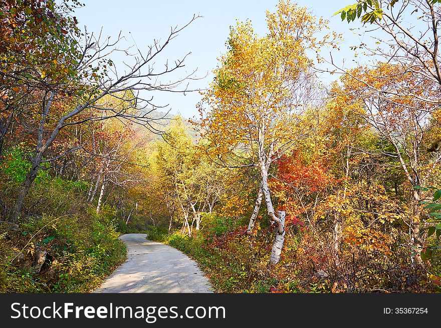 The photo taken in China's Hebei province qinhuangdao city,ancestral mountain scenic area.The time is October 4, 2013. The photo taken in China's Hebei province qinhuangdao city,ancestral mountain scenic area.The time is October 4, 2013.