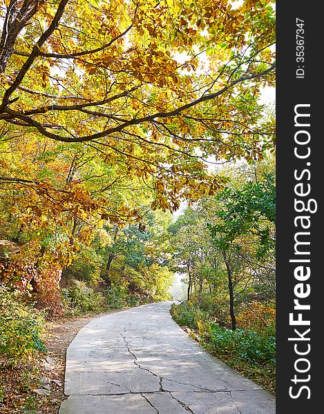 The quiet crook path _ autumnal scenery