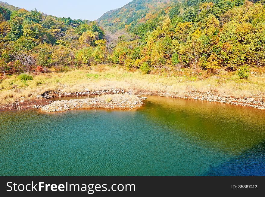 The Green Lake Water And Autumnal Forest