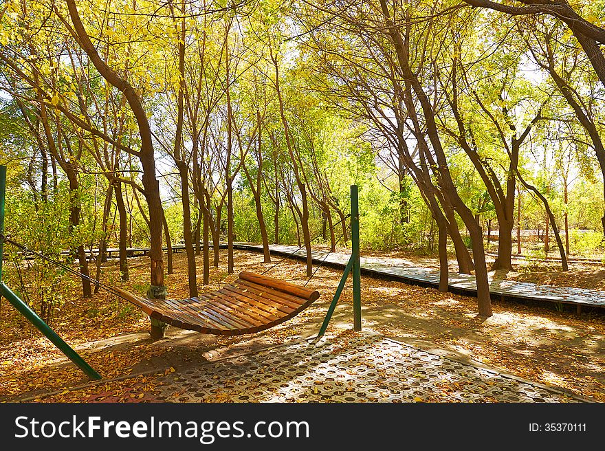 The Swing In Forest _ Autumnal Scenery