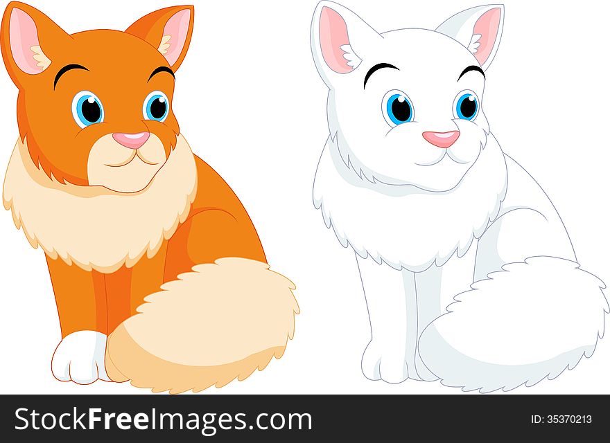 Cute male cat with fur that luxuriant. Cute male cat with fur that luxuriant