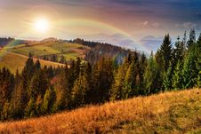 Pine Trees Near Valley In Mountains And Autumn Forest On Hillsid Royalty Free Stock Photos Pine Trees Near Valley In Mountains And Autumn Forest On Hillsid Royalty Free Stock Photos
