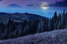 Pine Trees Near Valley In Mountains And Autumn Forest On Hillsid Stock Photos Pine Trees Near Valley In Mountains And Autumn Forest On Hillsid Stock Photos