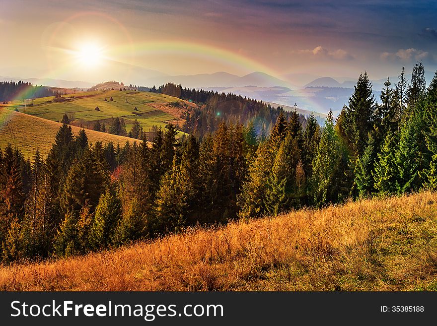 Pine Trees Near Valley In Mountains And Autumn Forest On Hillsid