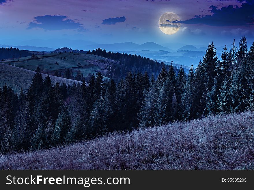 Pine trees near valley in mountains and autumn forest on hillsid