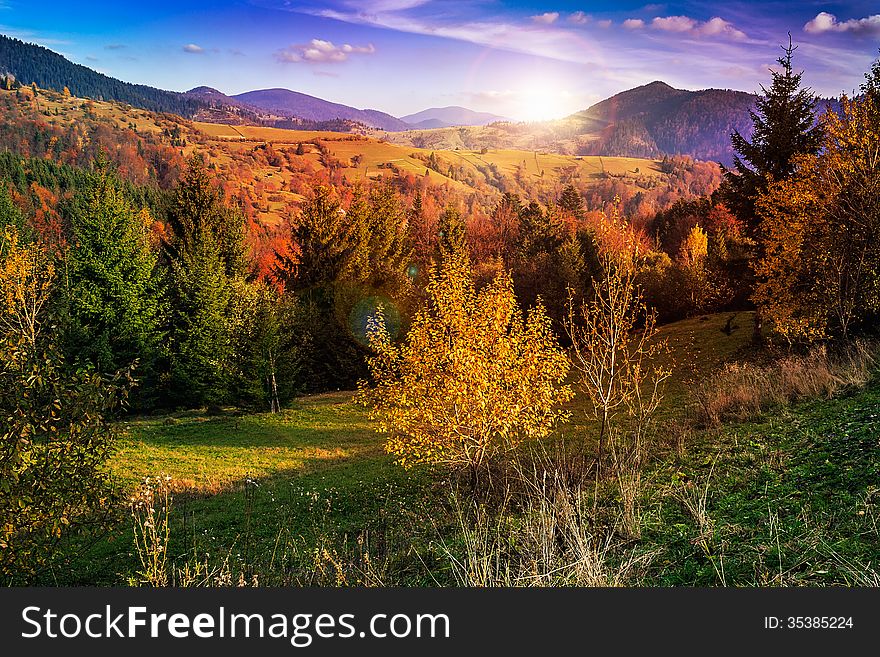 Mountain autumn landscape pine trees near valley and colorful forest on hillside under blue sky with clouds. Mountain autumn landscape pine trees near valley and colorful forest on hillside under blue sky with clouds