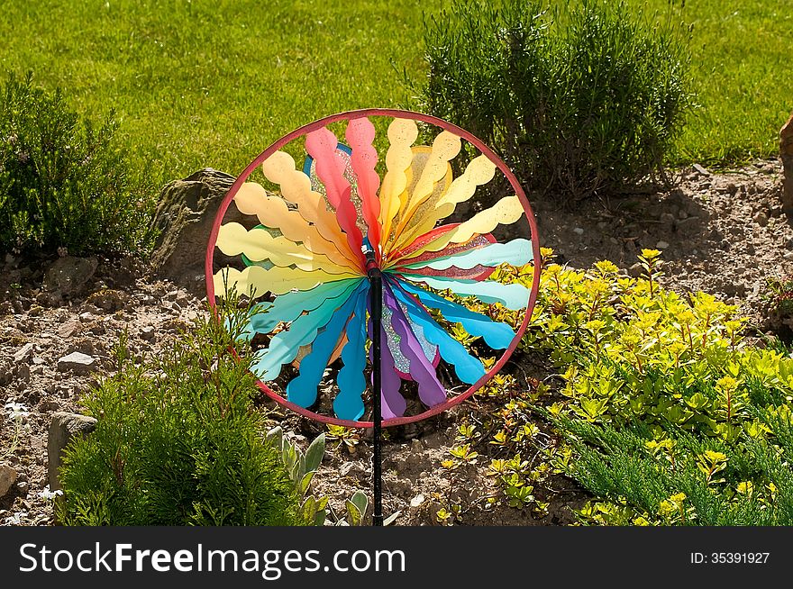 Colored pinwheel in the garden