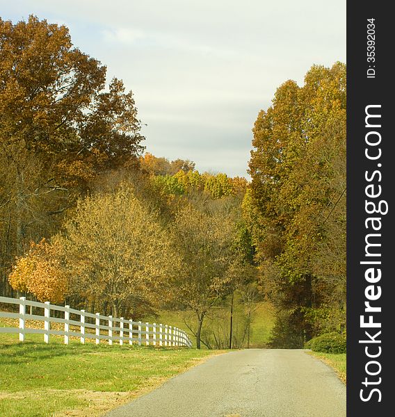 Country road with trees turning during fall