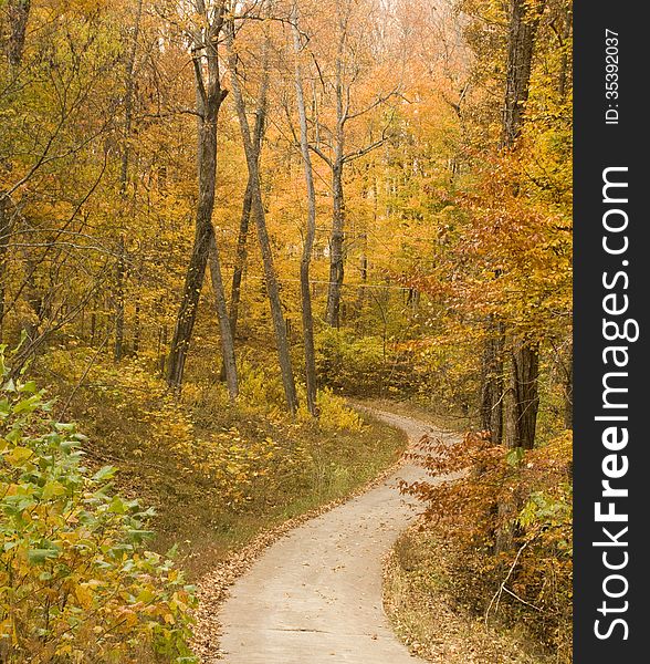 Country road with trees turning during fall