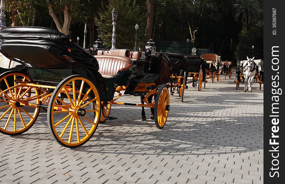 Few empty carriages with horses in park, Sevilla,Spain. Few empty carriages with horses in park, Sevilla,Spain