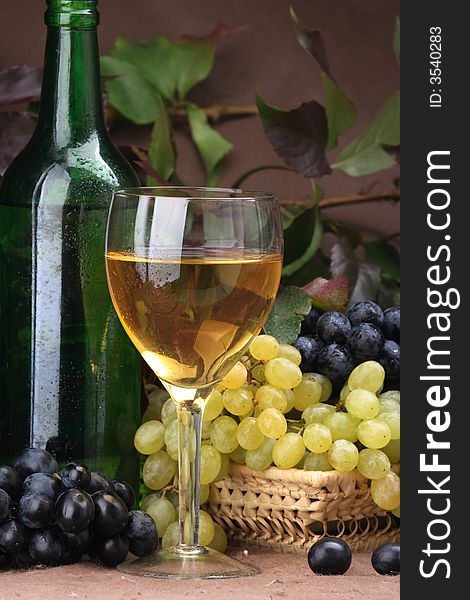 Wine Composition White Wine