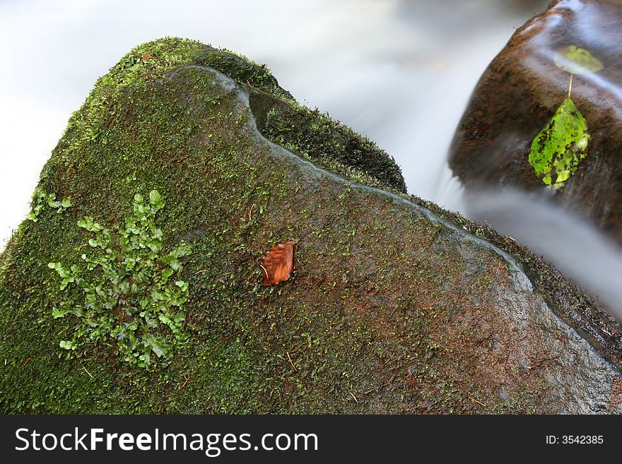 Mossy stone with leaf and moving water in creek