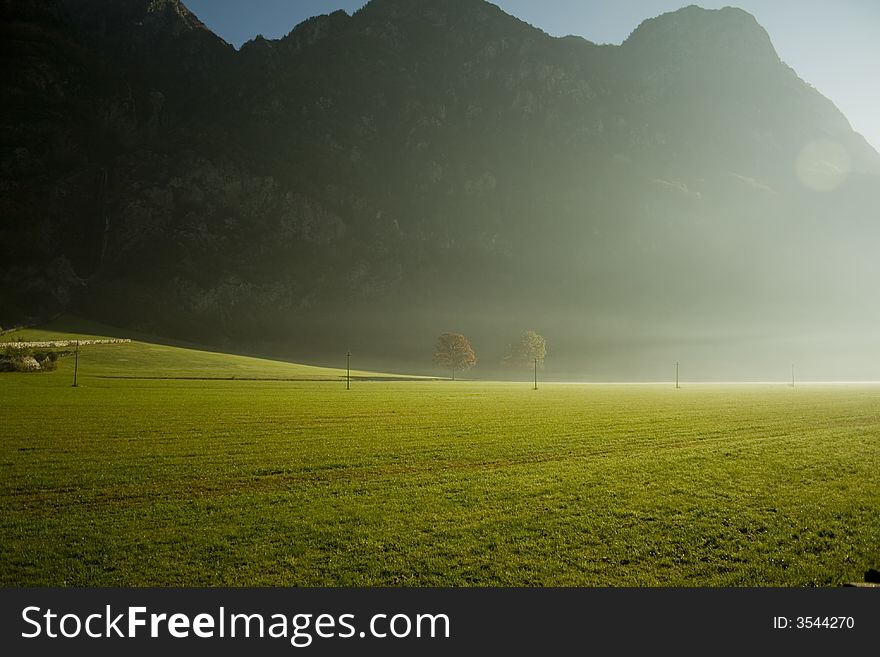 The first morning light over a field with two wonderful trees. The first morning light over a field with two wonderful trees