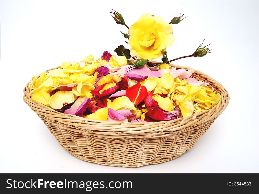 Basketful Of Petal Roses