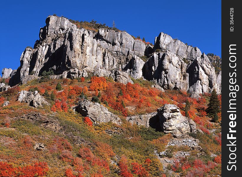 Cliffs In Autumn