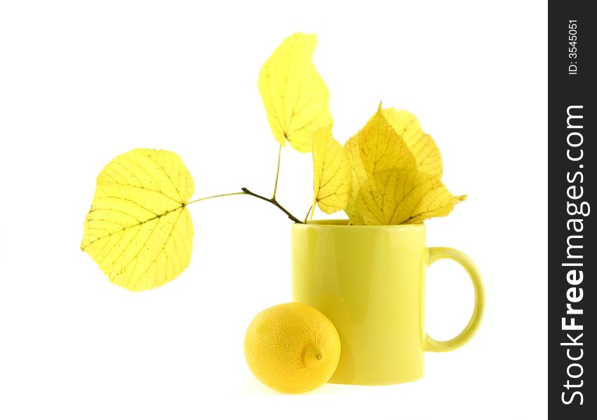 Still-life with yellow leaves. Still-life with yellow leaves
